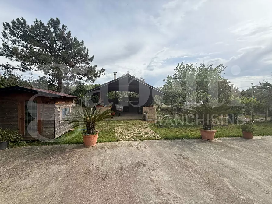 Immagine 6 di Casa indipendente in vendita  in Via Santa Caterina, 21 a Gizzeria