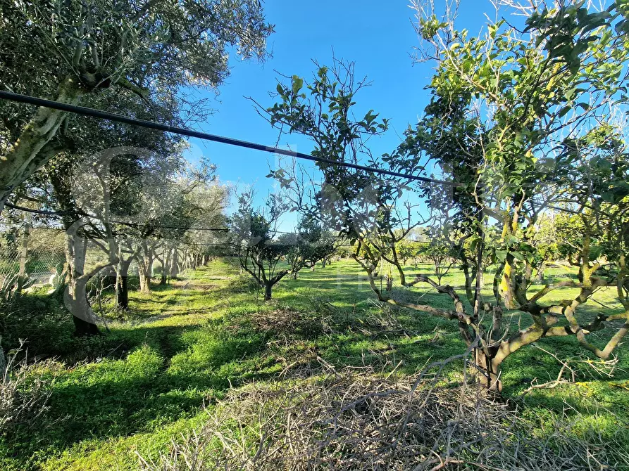 Immagine 3 di Terreno agricolo in vendita  in Via dessi, snc a Sestu