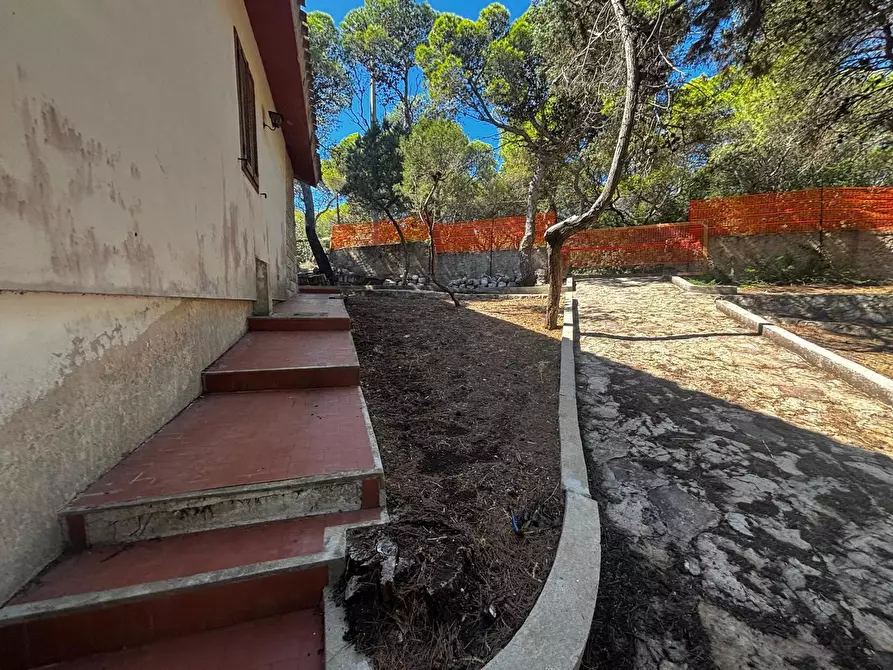 Immagine 8 di Villa in vendita  in LocalitÃ  Porto Pino, snc a Sant'anna Arresi
