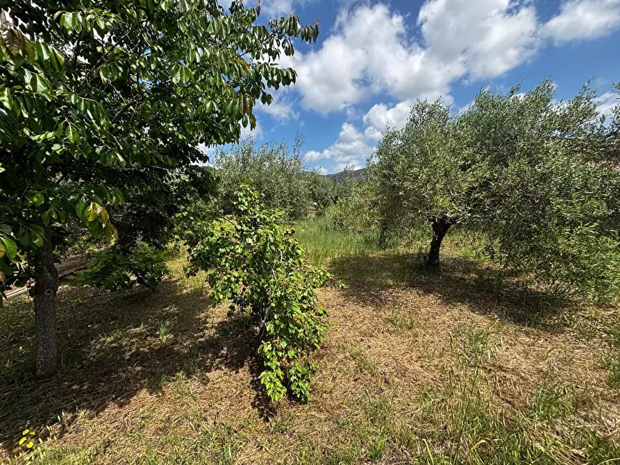 Immagine 5 di Casa bifamiliare in vendita  in Via Frazione Is Cherchis, snc a Narcao