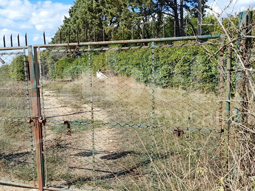Immagine 5 di Terreno agricolo in vendita  in Via CASALE DELLE PIETRISCHE, 00 a Manziana