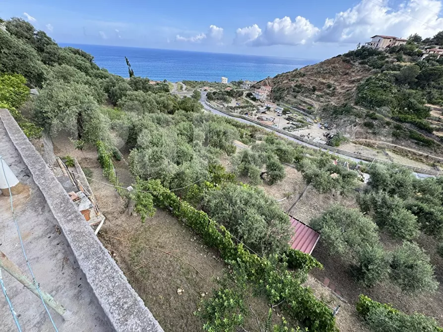 Immagine 2 di Terreno agricolo in vendita  in Contrada grancabella, SNC a Messina