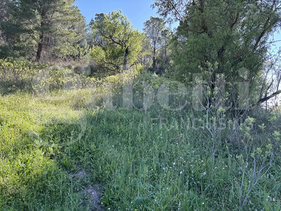 Immagine 17 di Rustico / casale in vendita  in Contrada Petraro, snc a Chiaramonte Gulfi