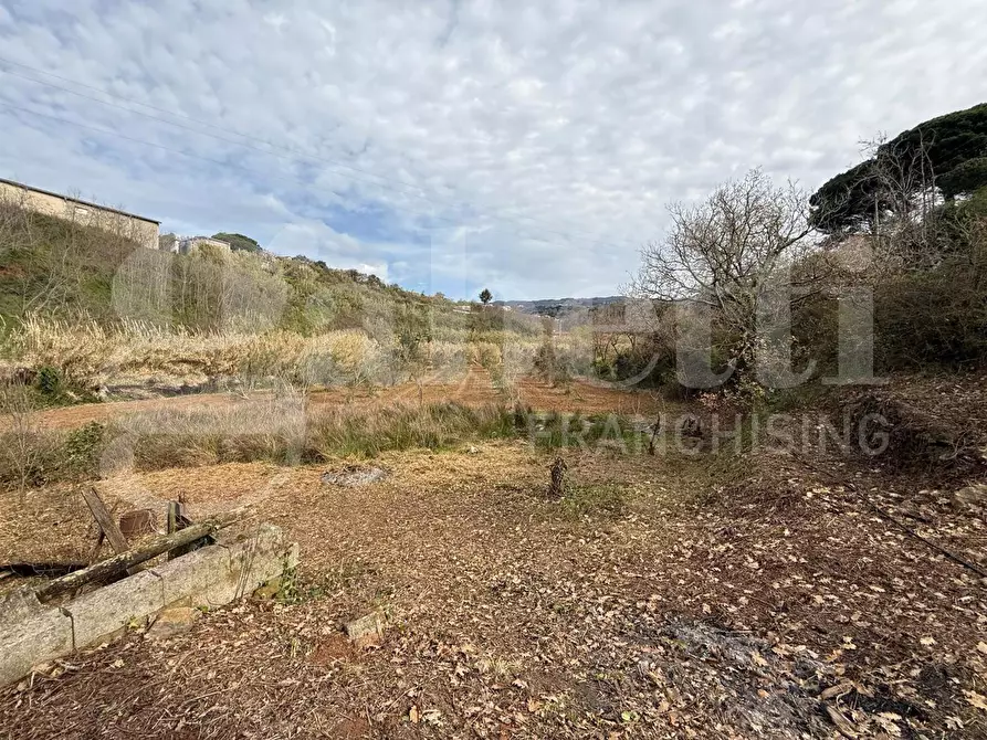 Immagine 4 di Terreno agricolo in vendita  in Contrada CARLO FAZZO, snc a Pianopoli