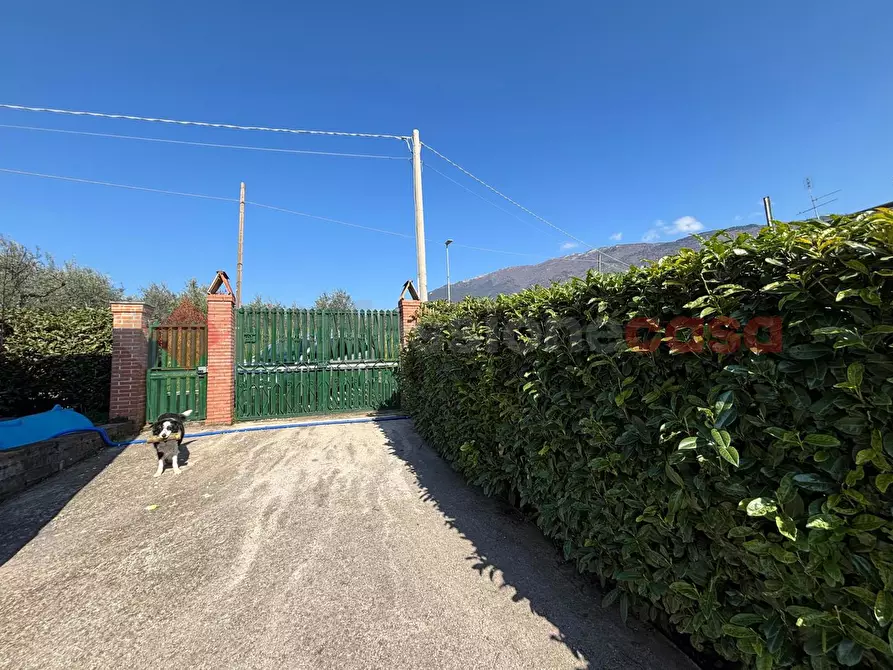 Immagine 23 di Casa indipendente in vendita  in Contrada torretta, 52 a Piglio