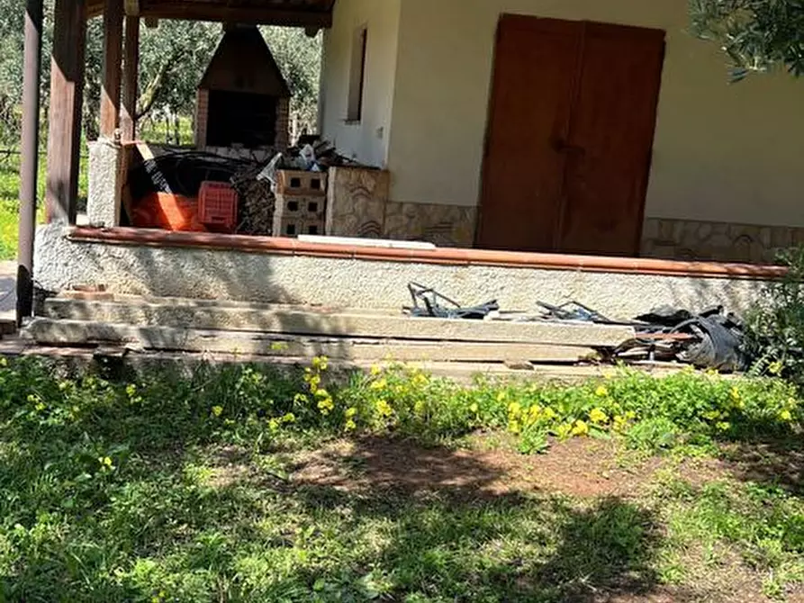 Immagine 7 di Terreno agricolo in vendita  in Via Raoul Morelli, 133 a Lamezia Terme