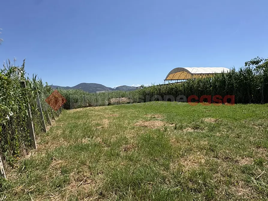 Immagine 24 di Casa indipendente in vendita  in Strada LUNGOCANALE, 1 a Terracina