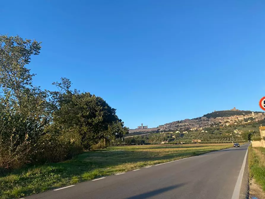 Immagine 1 di Terreno agricolo in vendita  in Via VALECCHI, 1 a Assisi