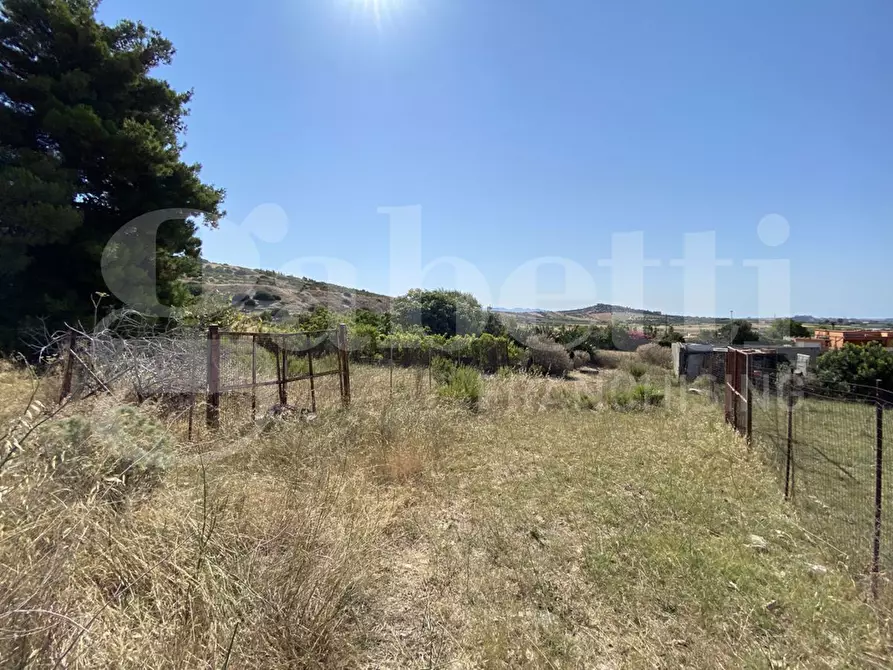 Immagine 4 di Terreno agricolo in vendita  in Via Alessandrini, snc a Maracalagonis