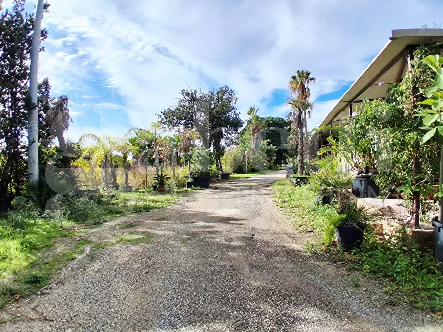 Immagine 2 di Terreno agricolo in vendita  in Contrada gaddimeli, snc a Ragusa