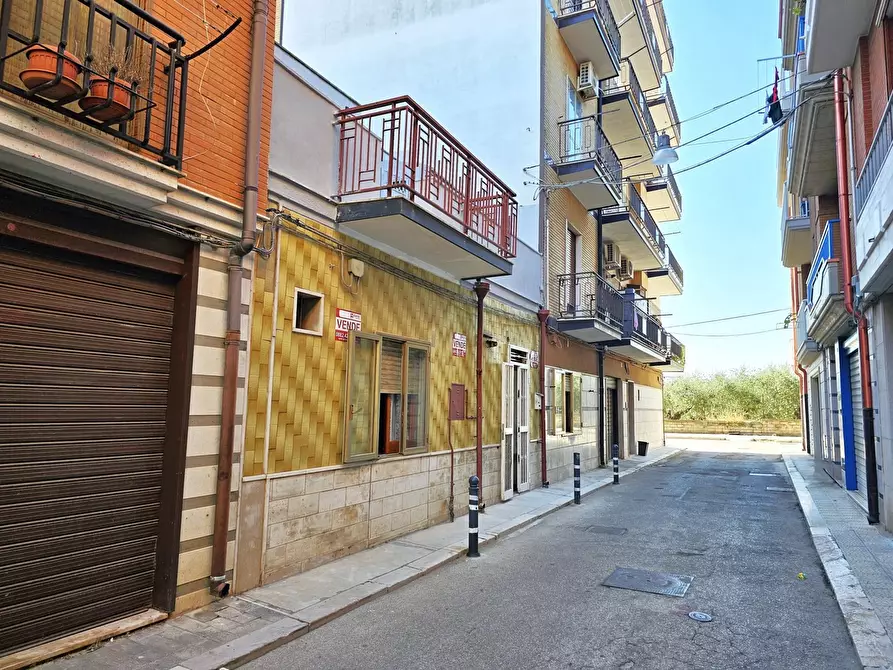 Immagine 1 di Appartamento in vendita  in Vico Castelnuovo a San Severo