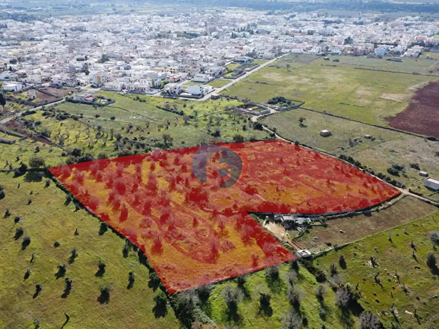 Immagine 1 di Terreno agricolo in vendita  in Via I Maggio, s.n.c. a Presicce-Acquarica