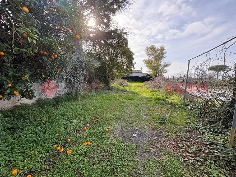 Immagine 28 di Bar / Ristorante in vendita  in Via Punta Fiume, snc a Sessa Aurunca