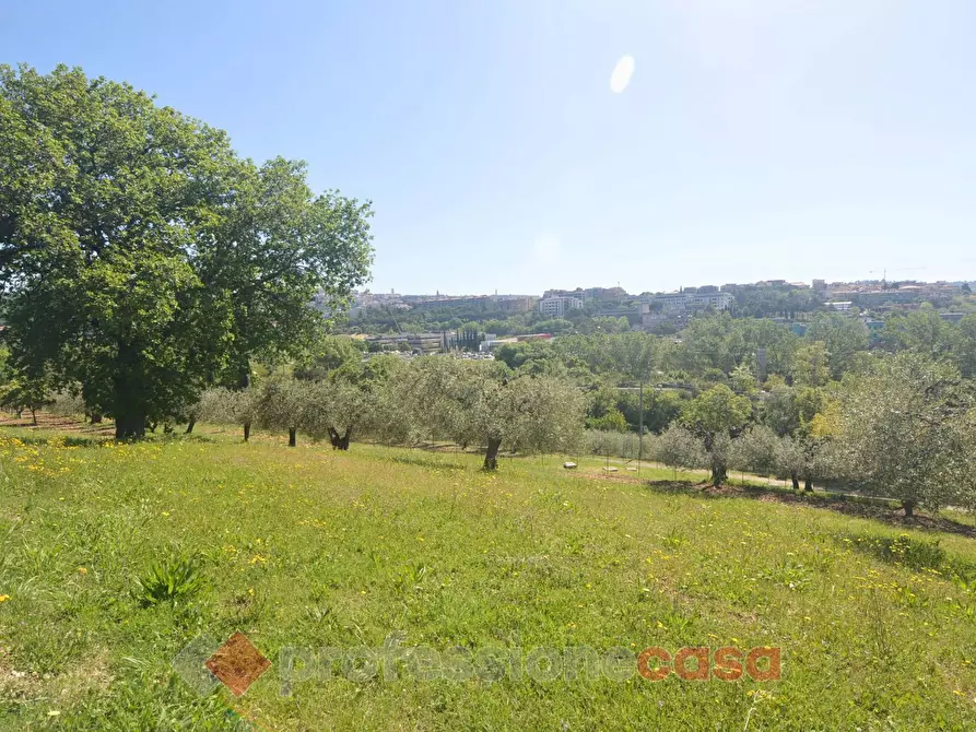 Immagine 3 di Terreno residenziale in vendita  in Via Giovanni da Verrazzano a Perugia