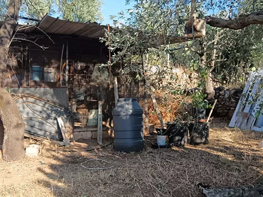 Immagine 16 di Terreno agricolo in vendita  in Strada VICINALE CRISPIANO MONTETERMITI, SNC a Crispiano
