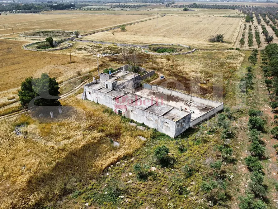 Immagine 29 di Villa in vendita  in Strada Provinciale 101, 1 a Campi Salentina