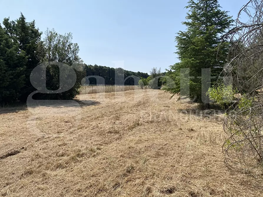 Immagine 20 di Villa in vendita  in Via S.P. 18, 76 a Cassano Delle Murge