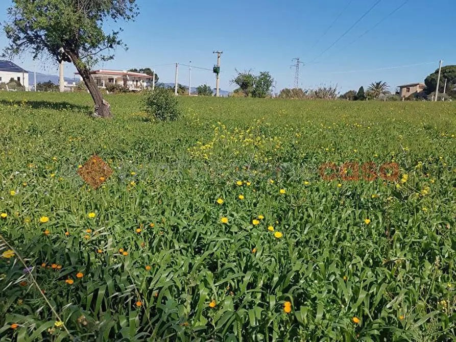 Immagine 8 di Terreno agricolo in vendita  in Via Gallina Via Aretina, 15 a Reggio Di Calabria