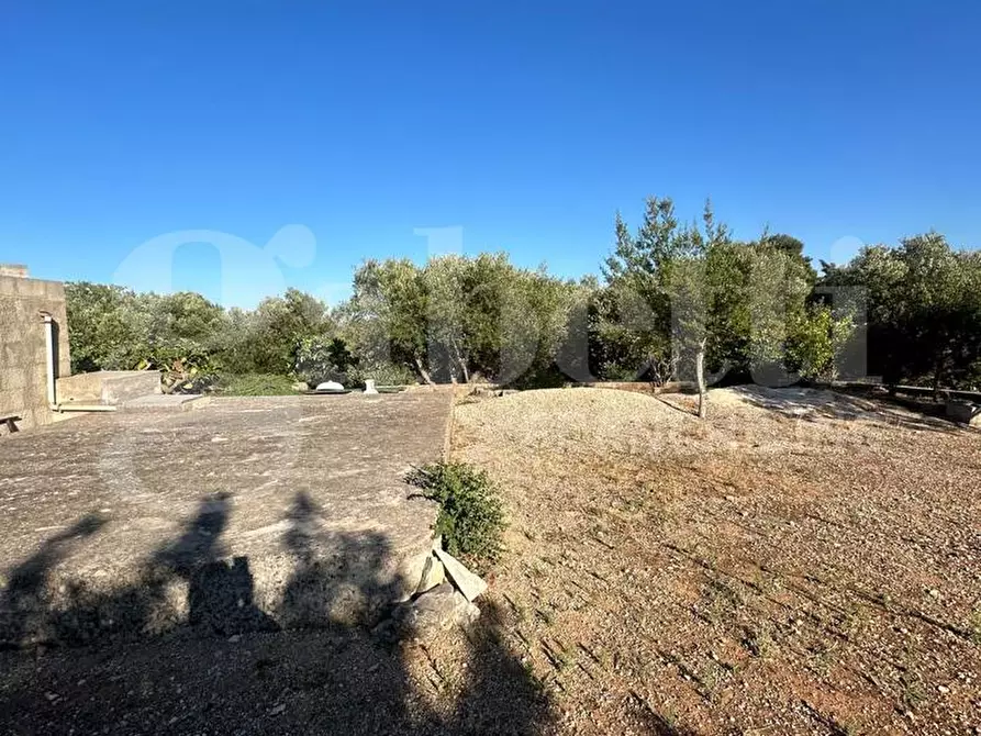 Immagine 15 di Terreno agricolo in vendita  in Contrada Salinola a Ostuni