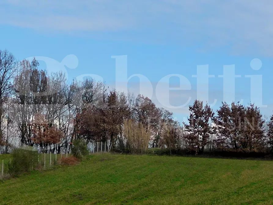 Immagine 4 di Terreno agricolo in vendita  in LocalitÃ  Valle Franca e Petreta, snc a Montelanico