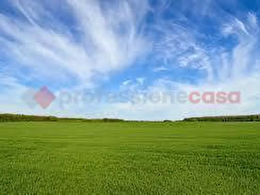 Immagine 2 di Terreno agricolo in vendita  in Via casilina, snc a Anagni
