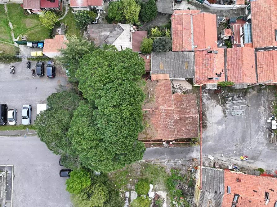 Immagine 3 di Casa indipendente in vendita  in Via delle Erbe, 14 a Livorno