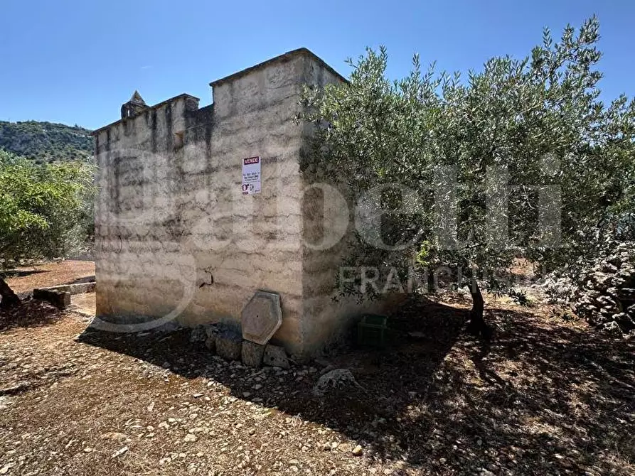 Immagine 3 di Terreno agricolo in vendita  in Contrada Morrone a Ostuni