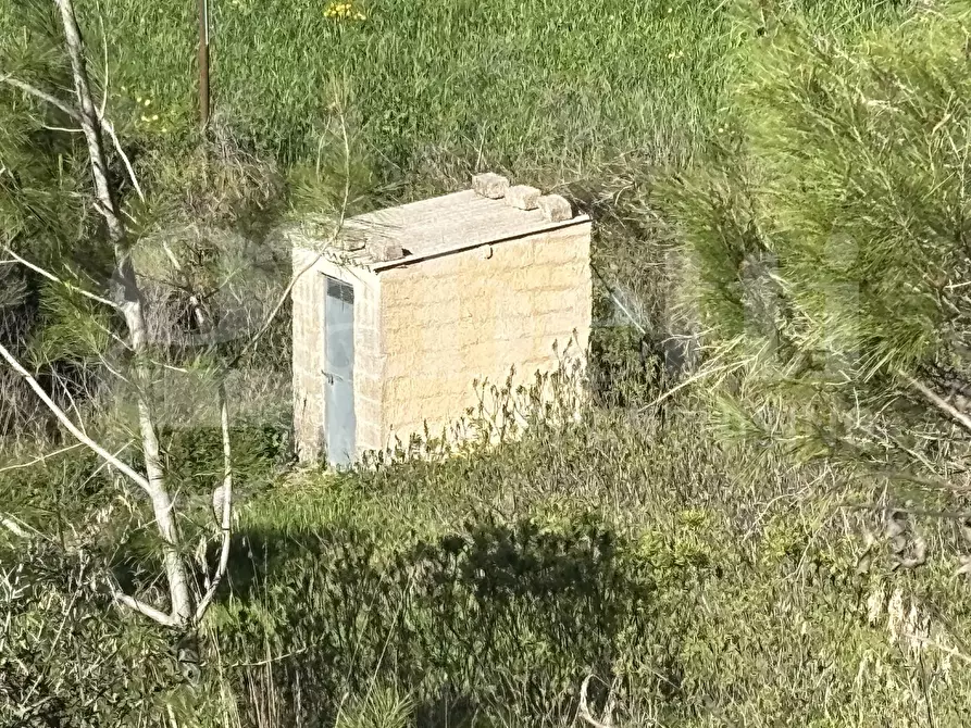 Immagine 6 di Rustico / casale in vendita  in Contrada Petraro, snc a Chiaramonte Gulfi