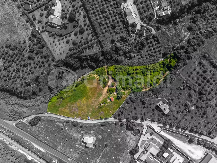 Immagine 5 di Terreno residenziale in vendita  in Via Puzzi a Avola