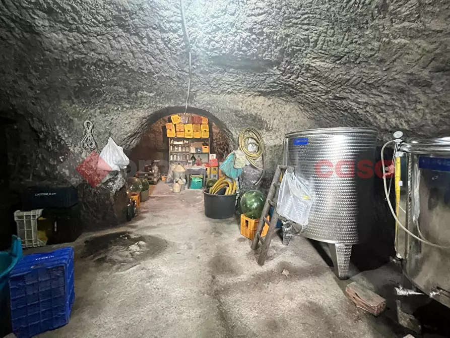 Immagine 24 di Terreno agricolo in vendita  in Contrada GORIZZE, SNC a Barile