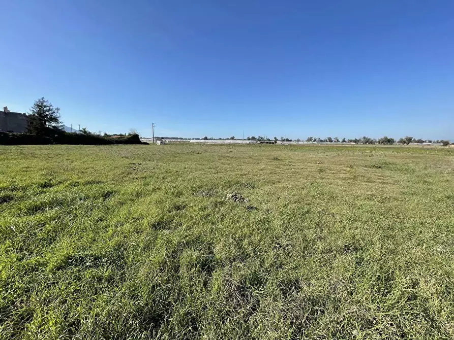 Immagine 10 di Terreno agricolo in vendita  in Via SAN FELICE CIRCEO, 1 a Terracina