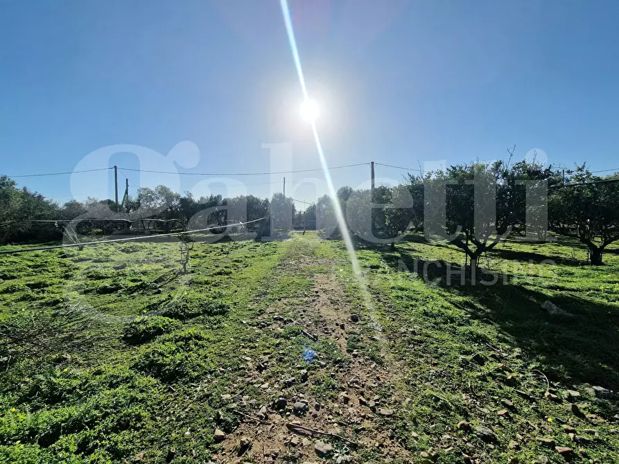 Immagine 4 di Terreno agricolo in vendita  in Via dessi, snc a Sestu