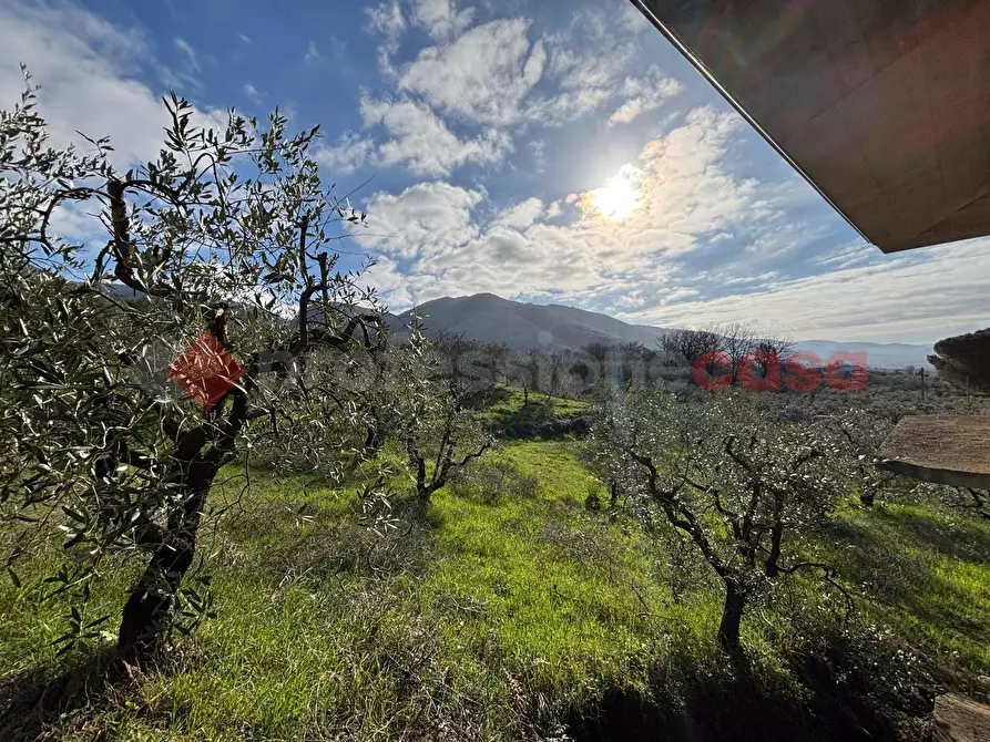 Immagine 14 di Casa indipendente in vendita  in LocalitÃ  San Buci, snc a Piglio