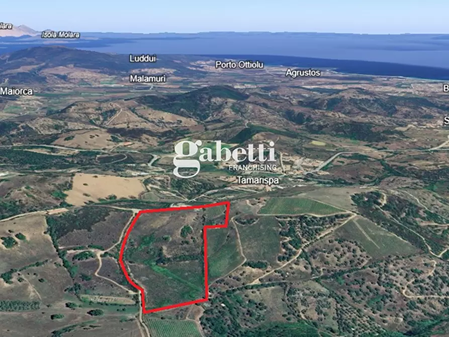 Immagine 17 di Terreno residenziale in vendita  in LocalitÃ  Giustinu, snc a Budoni