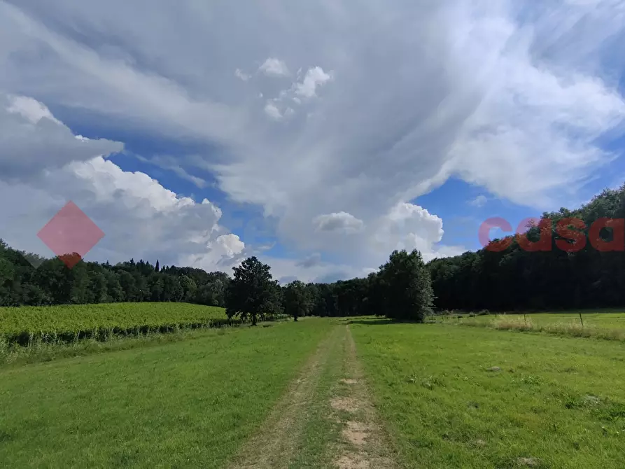 Immagine 7 di Terreno agricolo in vendita  in Via di castagneto a Empoli