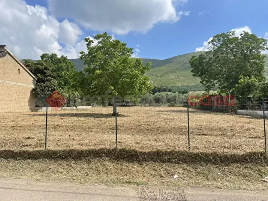 Immagine 6 di Terreno residenziale in vendita  in Via Leporano, snc a Camigliano