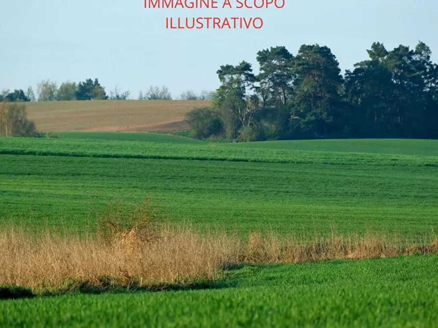 Immagine 1 di Terreno residenziale in vendita  in Via CAVANELLA D'ADIGE, 00 a Chioggia