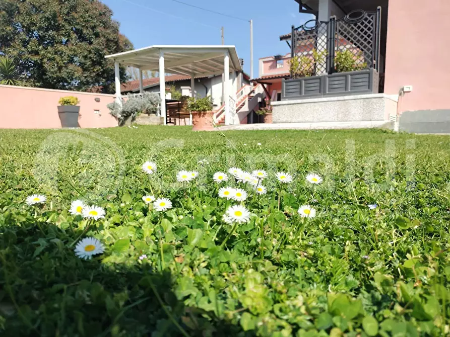 Immagine 5 di Villa in vendita  in Via ALTETA a Massa