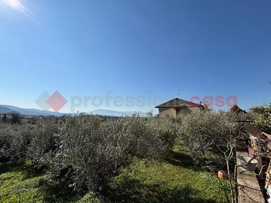 Immagine 21 di Casa indipendente in vendita  in Contrada torretta, 52 a Piglio