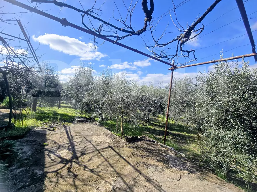 Immagine 13 di Rustico / casale in vendita  in Via Fonte del Colle, snc a Artena