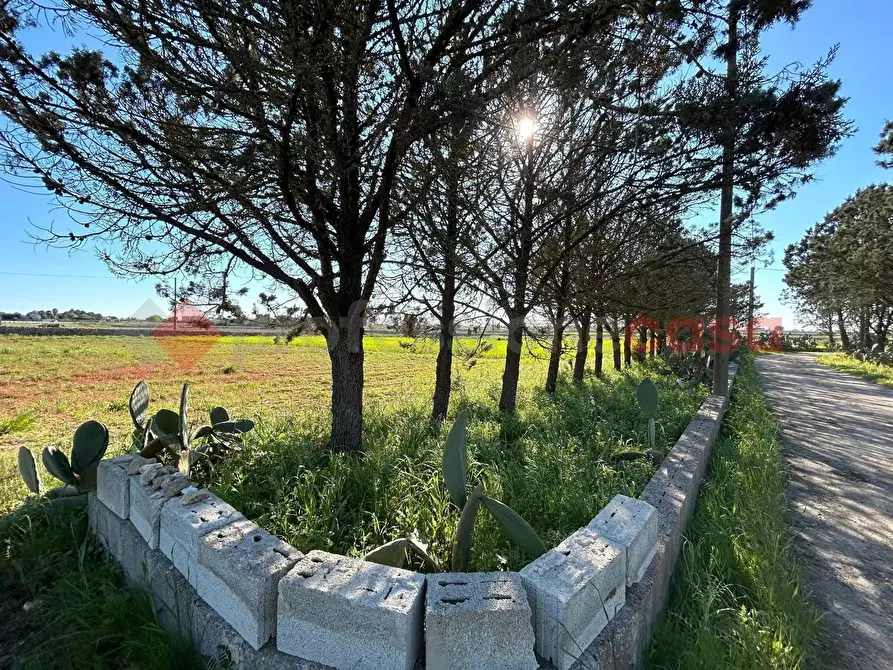 Immagine 7 di Terreno residenziale in vendita  in Via Prov.le Poggiardo-Spongano a Poggiardo