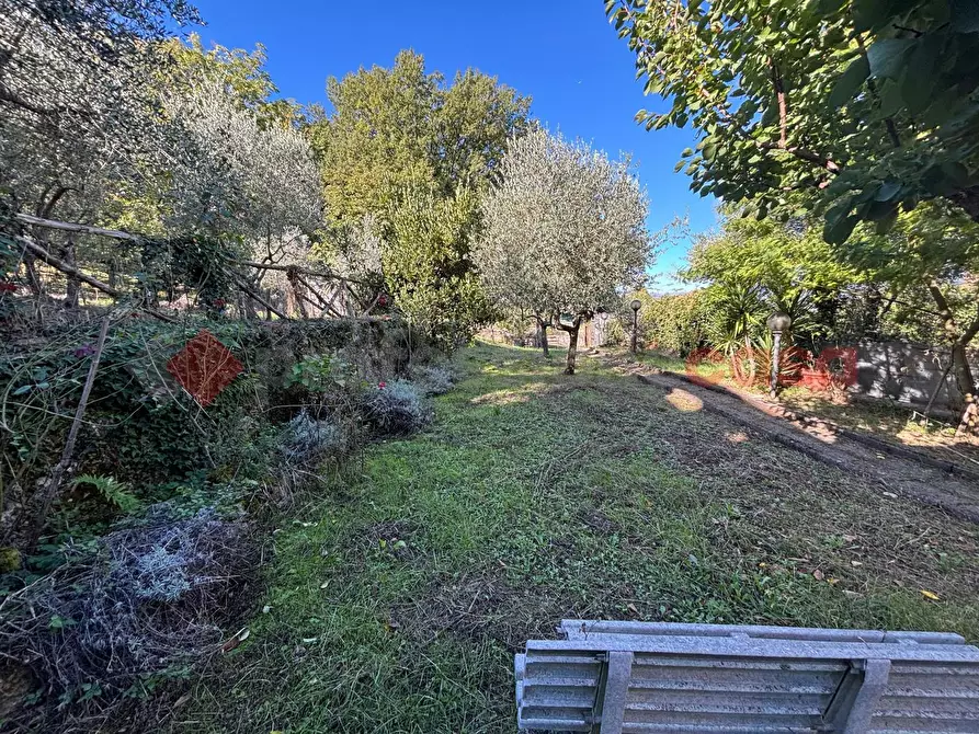 Immagine 5 di Terreno agricolo in vendita  in Via Vignali, snc a Sgurgola