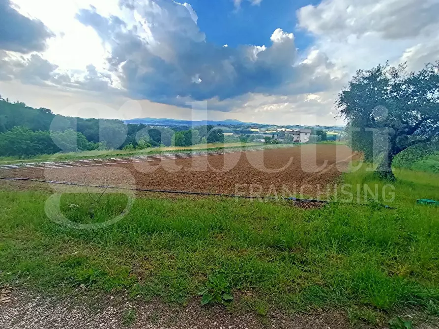 Immagine 1 di Terreno agricolo in vendita  in Via MONTELINO, 1 a Torgiano