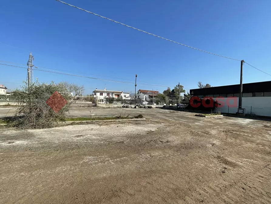 Immagine 9 di Terreno agricolo in vendita  in Via PONTINA, KM101,600 a Terracina