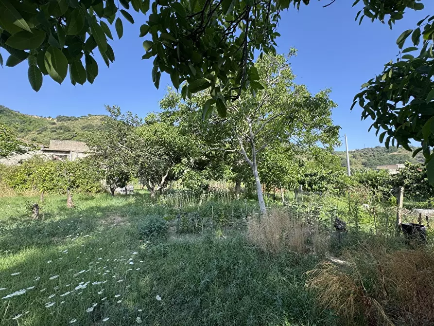 Immagine 13 di Terreno agricolo in vendita  in Strada comunale, snc a Rometta