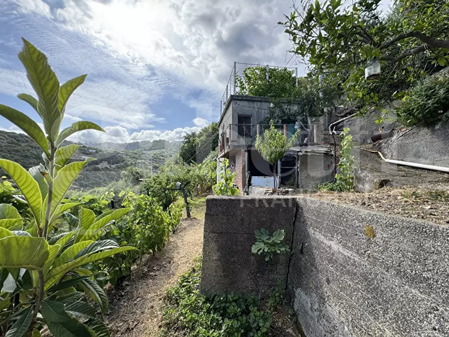 Immagine 4 di Terreno agricolo in vendita  in Contrada grancabella, SNC a Messina