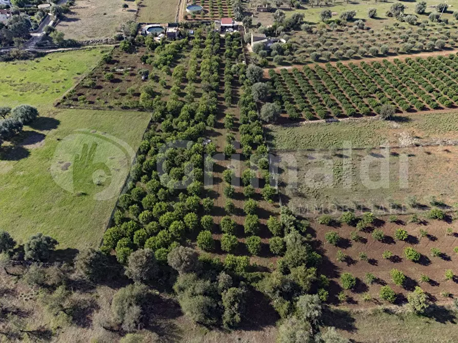 Immagine 2 di Terreno residenziale in vendita  in Via dulcamara, 45 a Noto