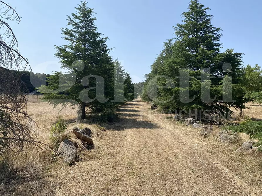 Immagine 21 di Villa in vendita  in Via S.P. 18, 76 a Cassano Delle Murge