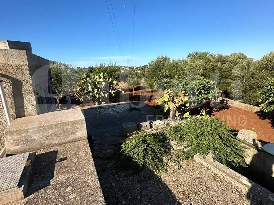 Immagine 9 di Terreno agricolo in vendita  in Contrada Salinola a Ostuni