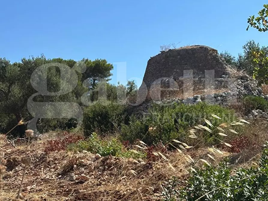 Immagine 4 di Terreno agricolo in vendita  in Contrada Campanile a Ostuni